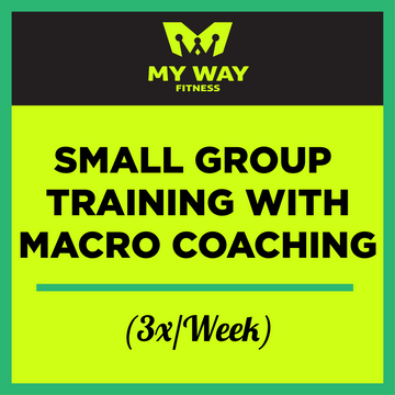 Small Group Training with Macro coaching